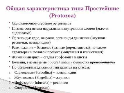 Общая характеристика простейших кратко