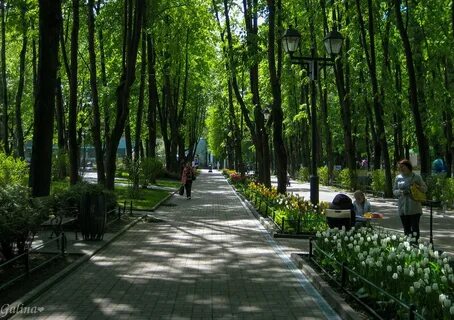 Бабушкинский парк программа