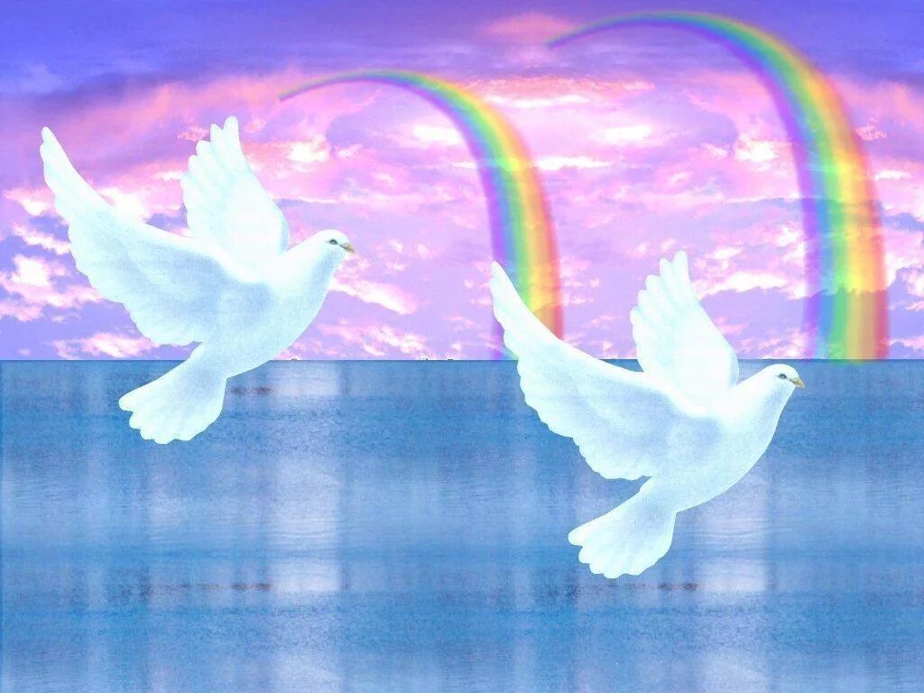 Голуби в небе. Голубь и Радуга. Птицы на фоне радуги. Голубь картина.