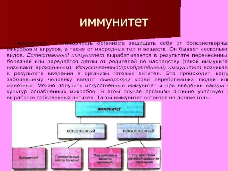 Иммунитет вырабатывается после. Выработка иммунитета. выработался иммунитет. искусственный иммунитет. естественный активный иммунитет вырабатывается после.