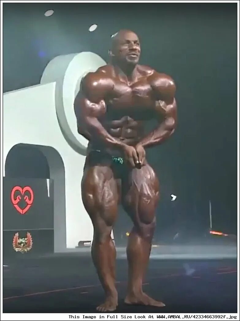 Мистер 2021. Мамду элссбиай мистер олимпия 2021. Mr olympia 2021 участники. Элссбиай мамду 2021 олимпия. Мистр ооимпия 2021.