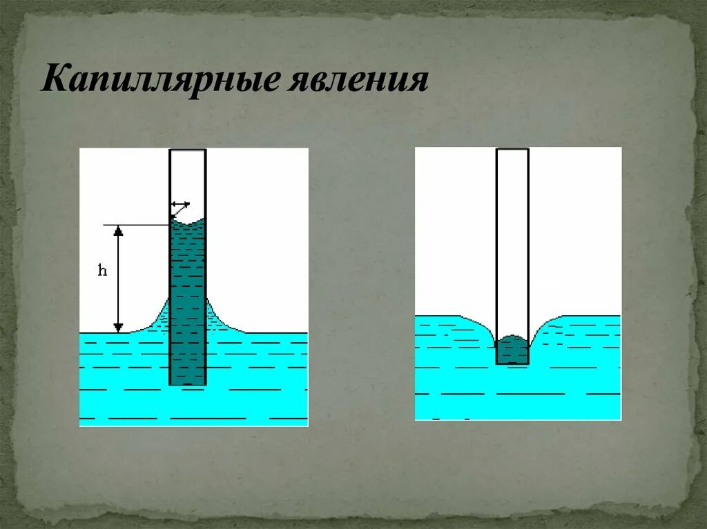 Жидкость капиллярное явление. Капиллярные явления. Капиллярные явления физика. Капиллярный эффект. Капиллярность жидкости.