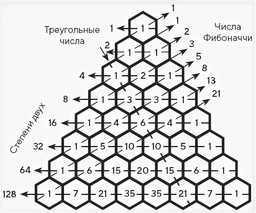 Треугольник паскаля 9 класс задачи. Треугольник паскаля и числа фибоначчи. треугольник паскаля. треугольные числа. числа фибоначчи.