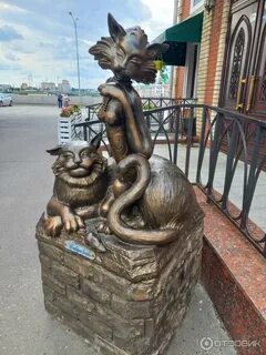 Кошки йошкар ола