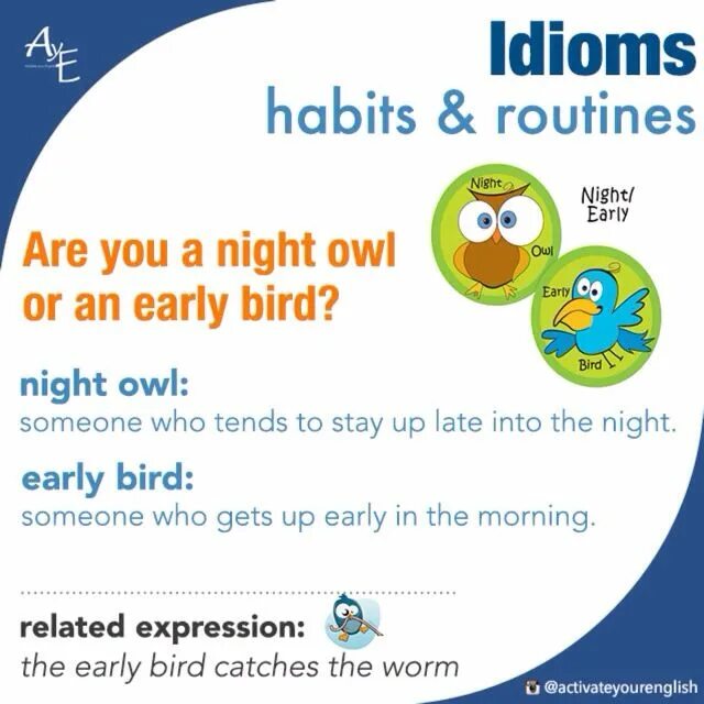 Moon idioms. Early Bird or Night Owl. Owl earlybird. Are you an early Bird or a Night Owl. Night Owl idiom.