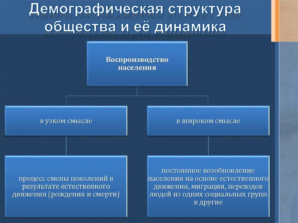 Особенности демографической группы. Демографическая структура общества. Социально демографическая структура. Социально-демографическая структура общества. Демографическая структура общества Обществознание.