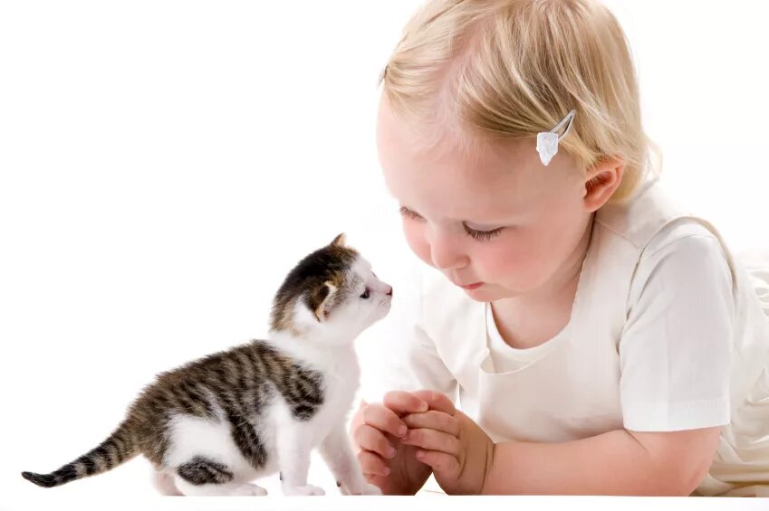 Домашние животные для детей. Котёнок-ребёнок. Кошка для детей. Дети с животными. Мама помоги котенку