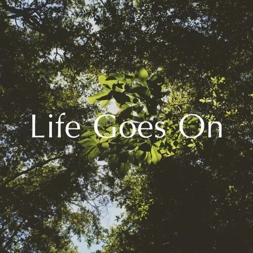 Life go song. Life go song