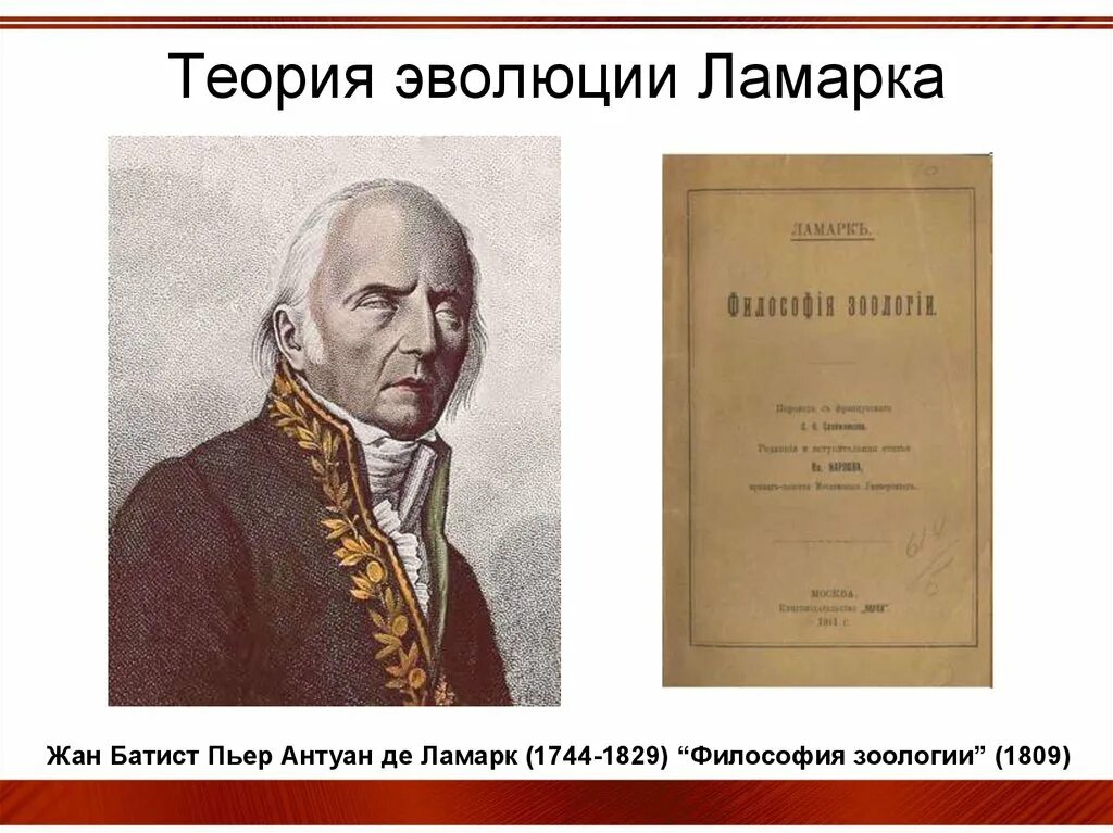 Гипотеза ламарка. Эволюционная теория Ламарка. Теория эволюции Ломарк.