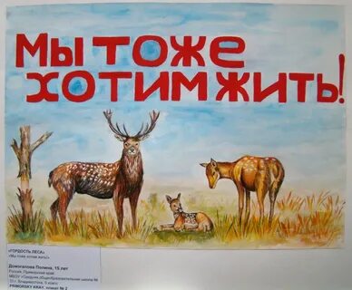 И они тоже