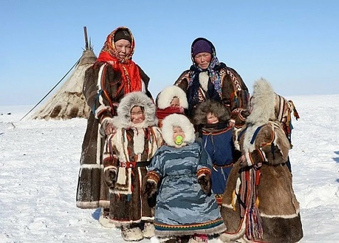 Какие коренные народы проживают в сибири. Ненцы и якуты. Якуты, чукчи, Ханты, ненцы. Народы Сибири ненцы. Эвенки, нанайцы, ненцы.
