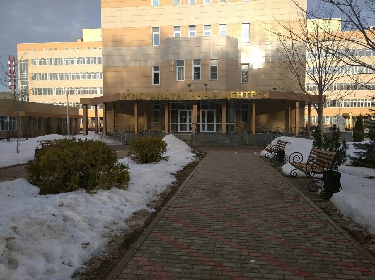 Роддом 1 воронеж. Воронежский областной перинатальный центр корпус 2. Областной роддом воронеж. Родильный дом №4 воронеж. Перепелицын перинатальный центр воронеж.
