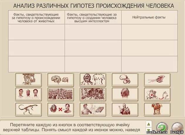 Анализ и оценка гипотезы происхождения человека. Анализ различных гипотез происхождения человека. Оценки различных гипотез происхождения человека. Анализ и оценка различных гипотез происхождения человека. Гипотезы происхождения человека таблица.