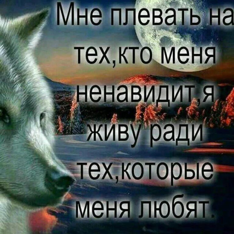 Мне плевать на всех паркуюсь. Кто меня ненавидит. Мне плевать пока. Плевать на мнение. Мне плевать пока.