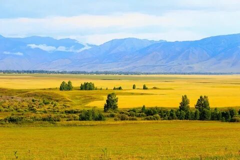 Пейзажи казахстана