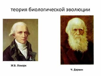 3 теории эволюции биология