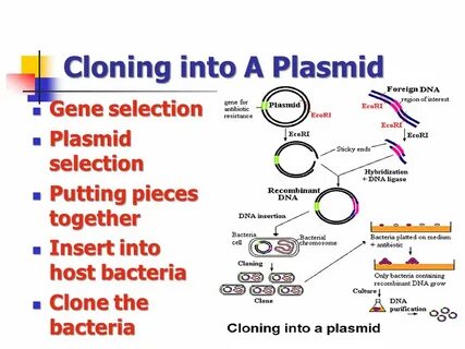 Cloning into