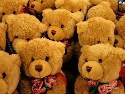 Teddy bear группа
