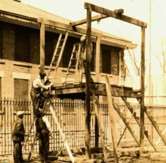 White gallows поводы