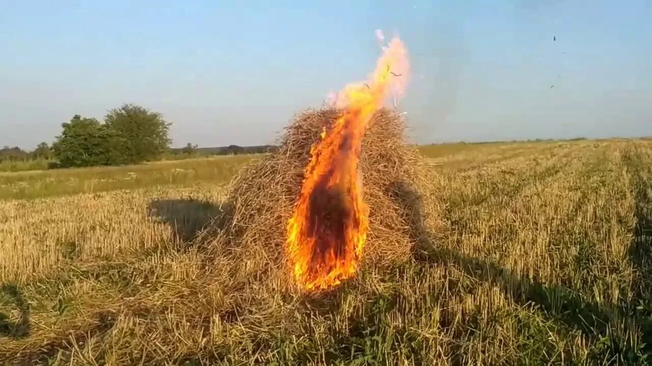 Пламя раздуваемое ветром быстро разгорелось