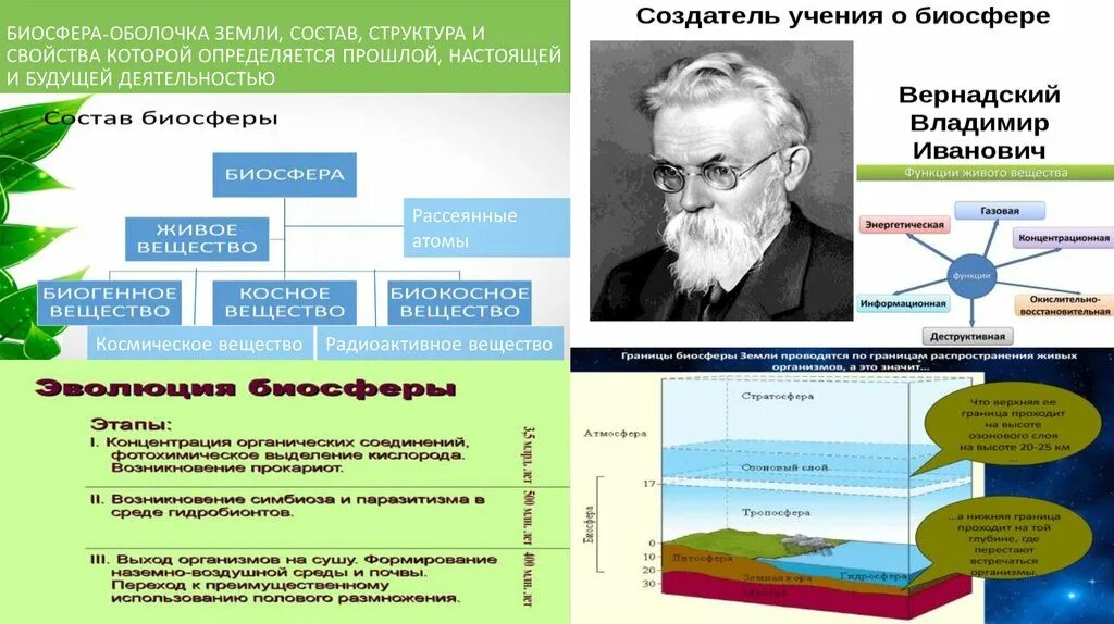 Динамика изменений в биосфере. Биосфера. Инфографика Биосфера. Биосфера земная оболочка. Прошлое и будущее биосферы.