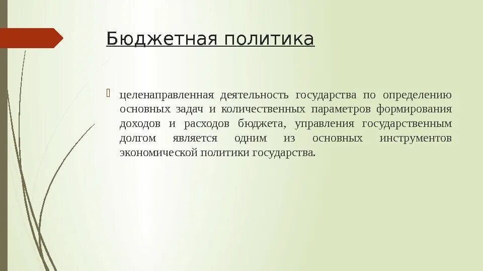 Бюджетная политика целенаправленная