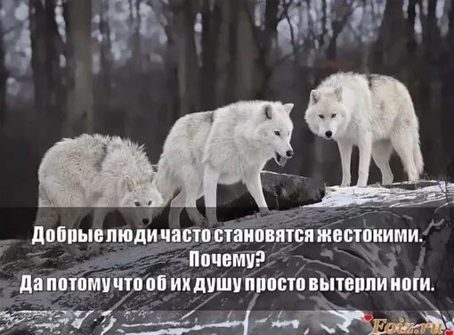 Стихи. Люди становятся злыми только потому что были. Люди становятся жестокими. Добрые люди часто становятся жестокими. Добрый человек становится злым.