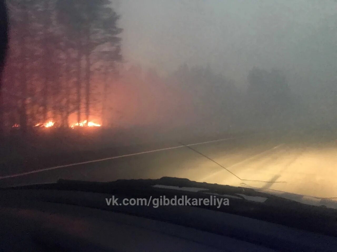 В сплошном дыму в развороченном бурей. Задымленная трасса пожар лес. нулевая видимость в дыму. дым сплошной.