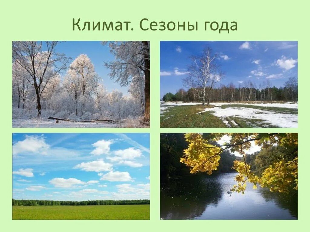 Подмосковье тип климата. Климат московской области. климатические сезоны года. климатические условия московской области. сезонность климата россии.