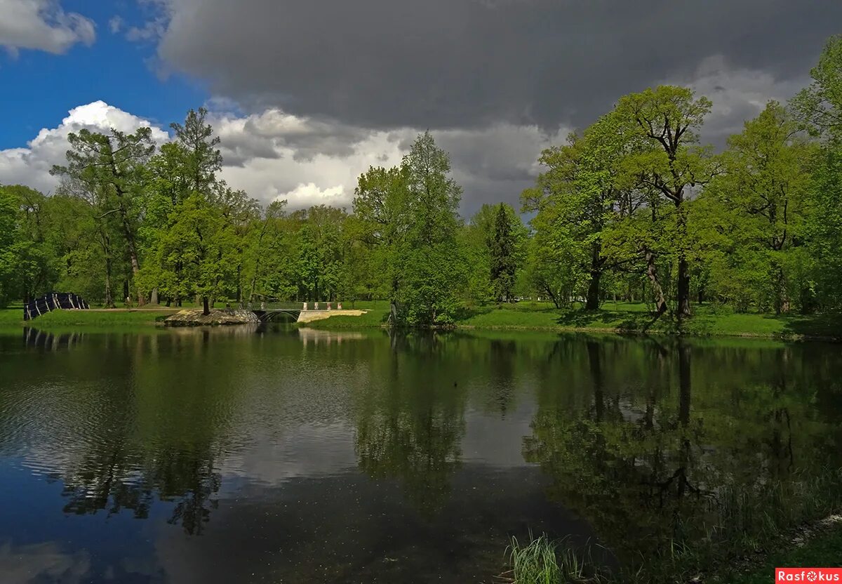 озерки кингисепп. озерки парк озера. аптека озерки рыбинск. улыбка радуги всеволожск. озерки кингисепп.