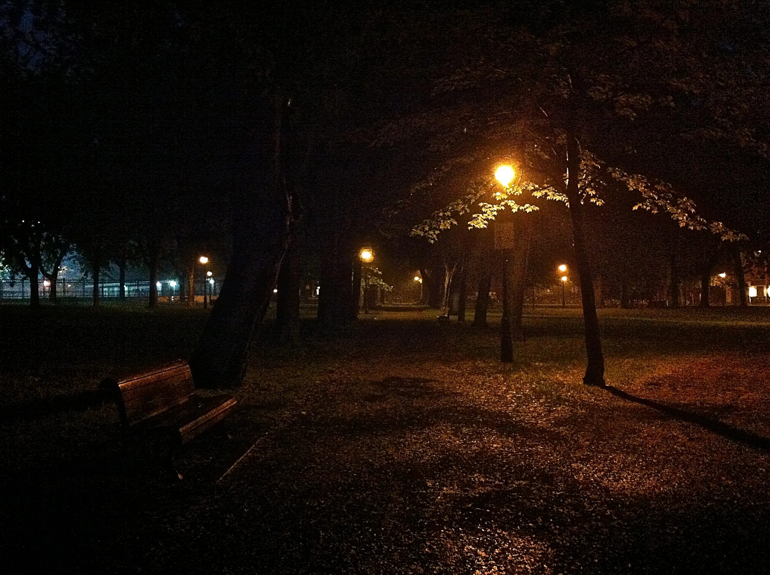 Вечерняя прогулка. Авария в чистых прудах киров 17 августа. Вечерний парк. Напомни вечером. Ночь улица фонарь.