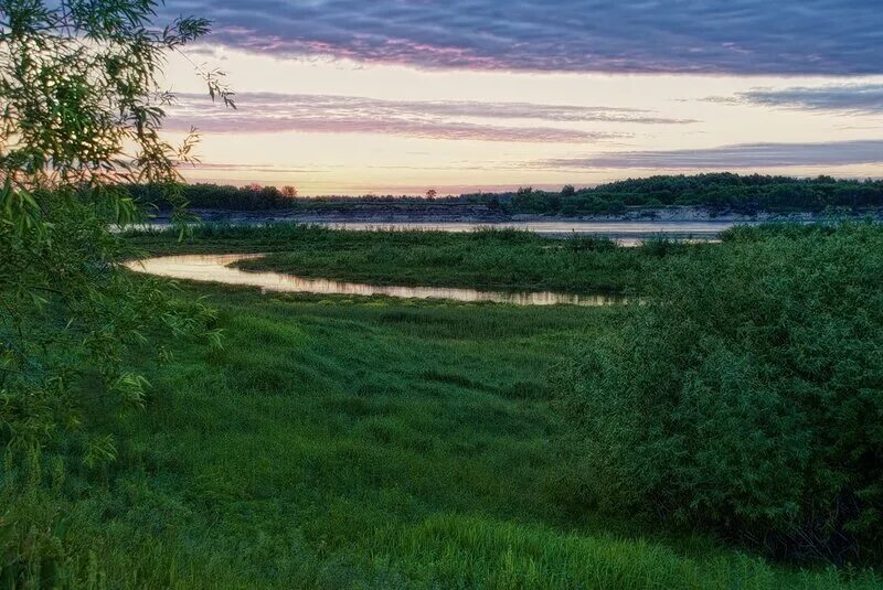 Мур родина. Муром природа. Муромские просторы. Речка Золотая в городе Муроме. Природный ландшафт Мурома.