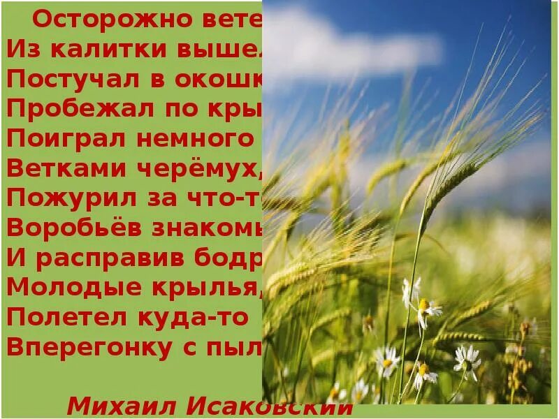 Праздник ветра. Международный день ветра. Поздравления с днём ветра. Всемирный день ветра 15.