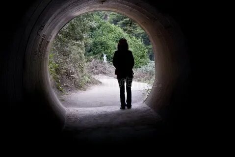 Did you know that there tunnel