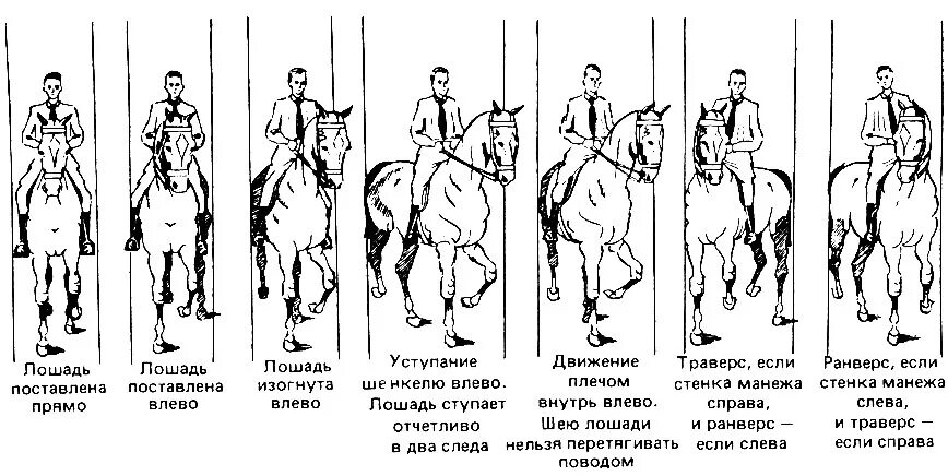 Выездка конный спорт элементы схема. Элементы выездки на лошади схема. Тренировка по выездке схемы. Элемент езды выездка схема.