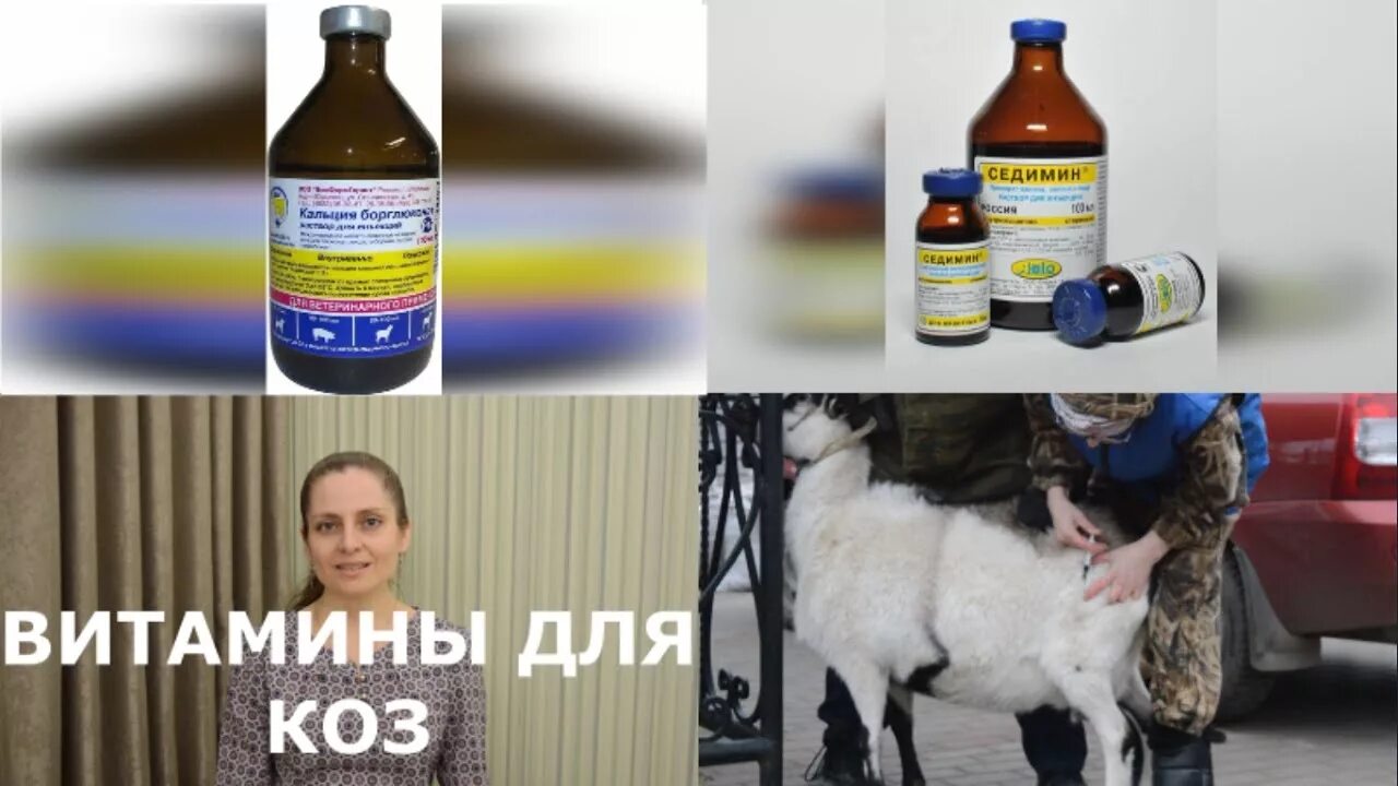 Витамины для коз. Витаминные препараты для коз и овец. Витамины для коз в уколах. Витамины для коз и козлят.