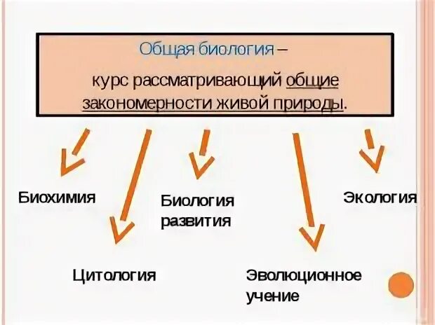 Общая биология это наука изучающая