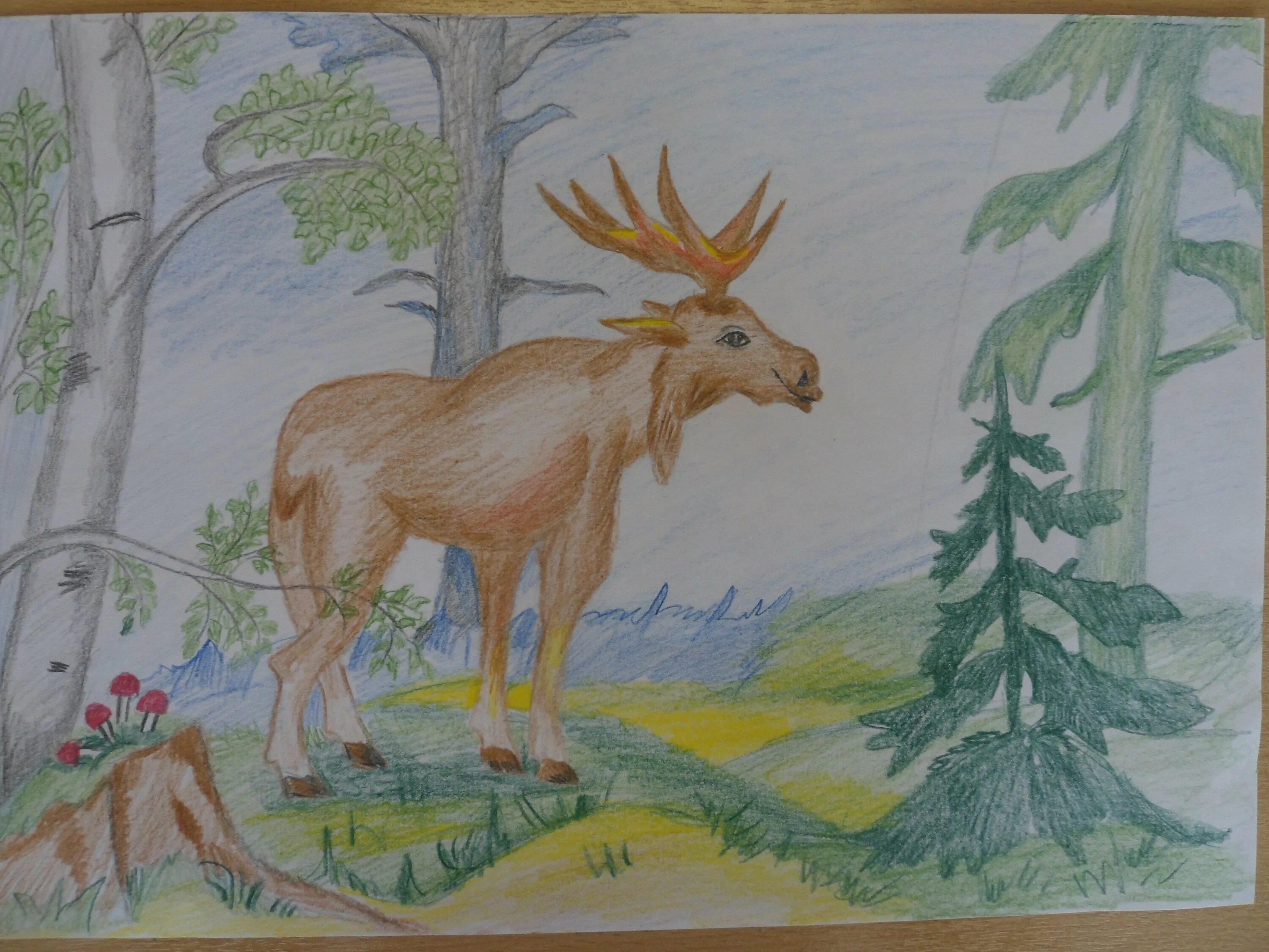 Детские рисунки на тему лес. Рисунок на тему лес глазами детей. Рисунок на тему лес наше богатство. Конкурс лес наше богатство. Конкурс рисунков лес наш интерес