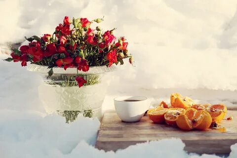 Цветы утра зима