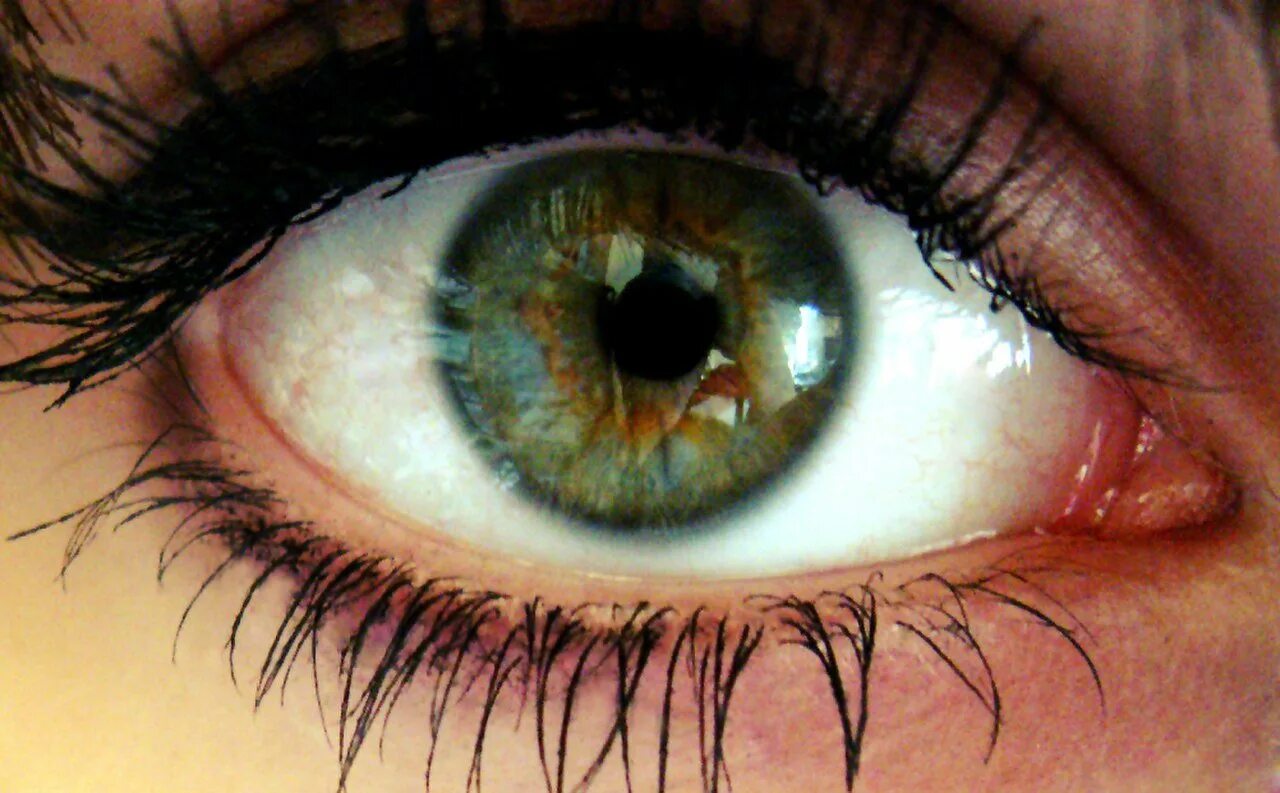 Глаза хамелеоны у человека. Цвет глаз хамелеон. Глаза хамелеон у человека. Цвет глаз хамелеон у человека. Зеленые глаза хамелеоны.