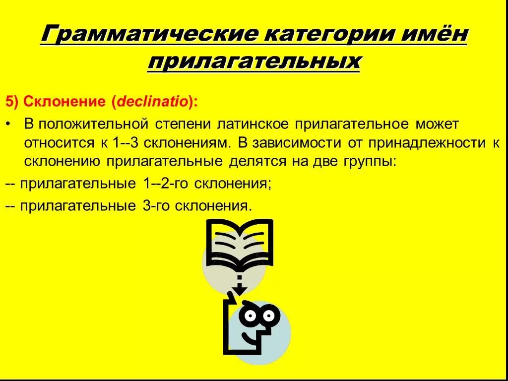 Группы прилагательных в латинском. Грамматические категории имен прилагательных. Грамматические категории имени прилагательного в латинском. Грамматические категории прилагательных в латинском языке. Грамматические категории в латинском языке прилагательные.