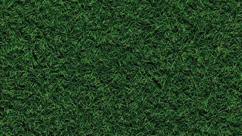 Grass se