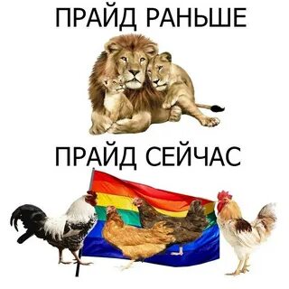 Pride перевод на русский