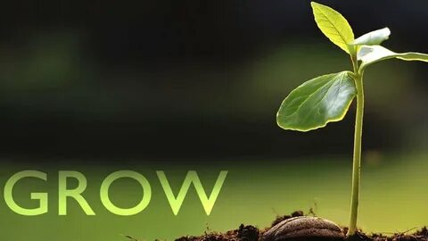 To know grew