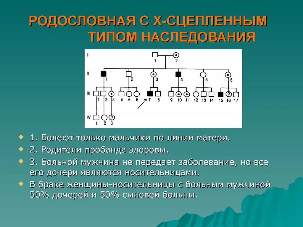 Наследование в ооо. Тип наследования и генотип пробанда. Родословная с х-сцепленным типом наследования. Х сцепленный рецессивный Тип наследования родословная. Х сцепленный доминантный Тип наследования.