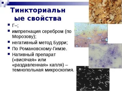 Импрегнация