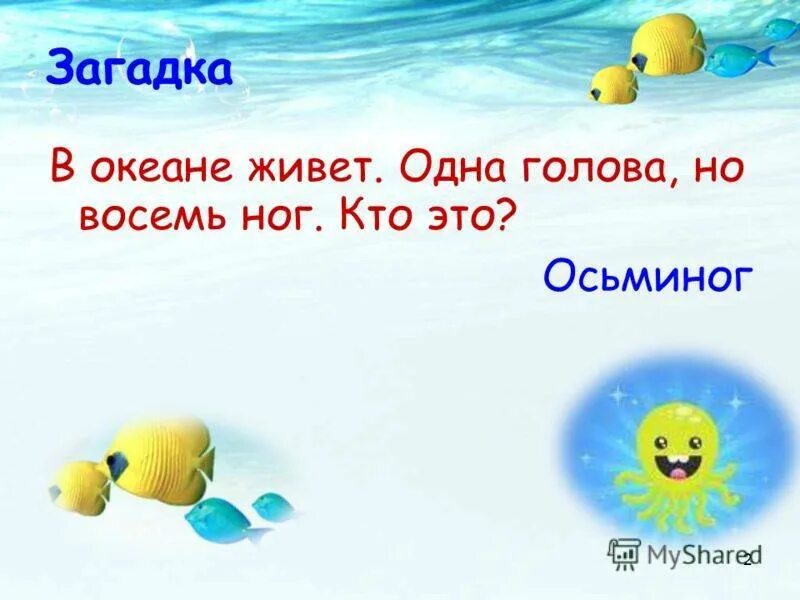 Загадка про океан. Загадки про океан для детей. Загадка по океан для детей. 6 Загадок про океан.