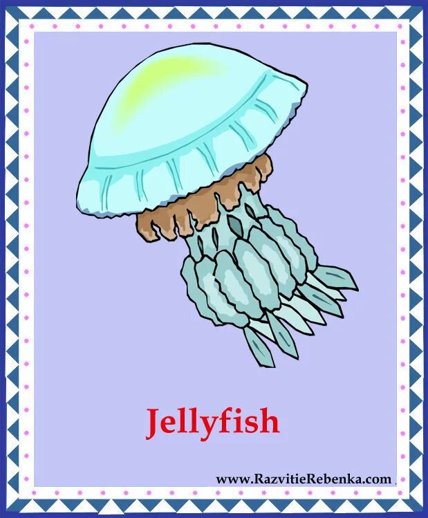 медуза арт. медуза на английском языке. карточки на английском jellyfish. Jellyfish английский карточки для детей. медузы в океане.