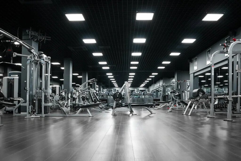Вегас спортзал крокус. X fit premium алтуфьево. Москва рязанский проспект 28 платинум фитнес. X fit угличская 13. X fit братиславская.