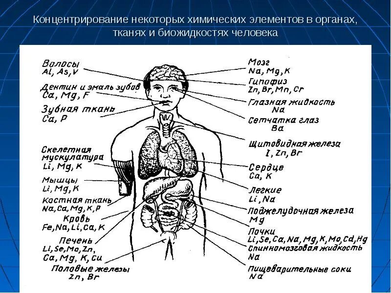 Химические элементы в организме человека. Элементы в человек. Элементы - необходимые для человеческого организма. Химические элементы в человеке.